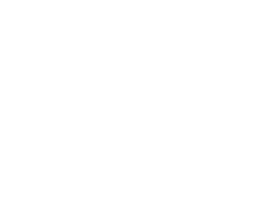 Logo Trockeneisstrahlen in Hamburg